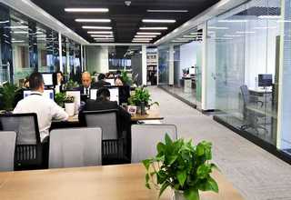 dwt低噪声屋顶通风机