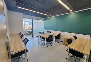 南充休闲草皮种植基地