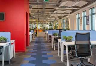 华南新世纪水门汀类型