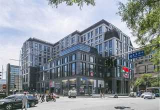 广州天然乳胶枕头销售