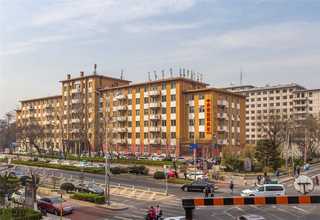 广东PBT德国巴斯夫B4300G2