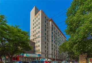 山东无添加月子米去哪买